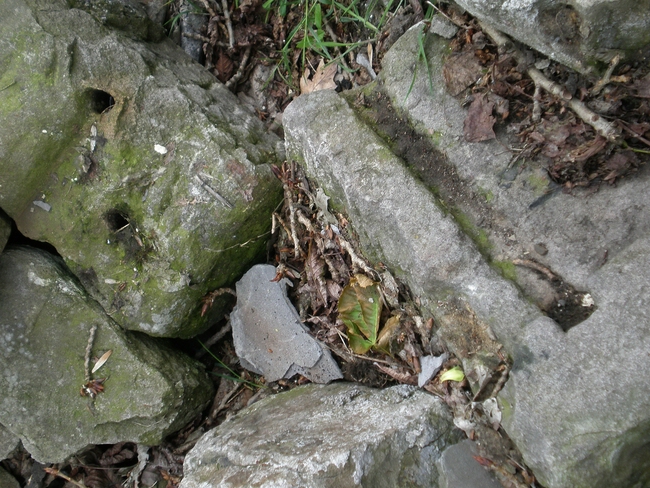 Alte Schwellensteine der Mariannenbahn