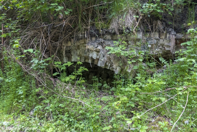 Alte Industriefundamente am Schacht Heintzmann