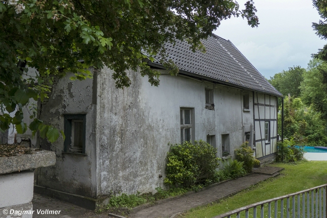 Kotten Walter